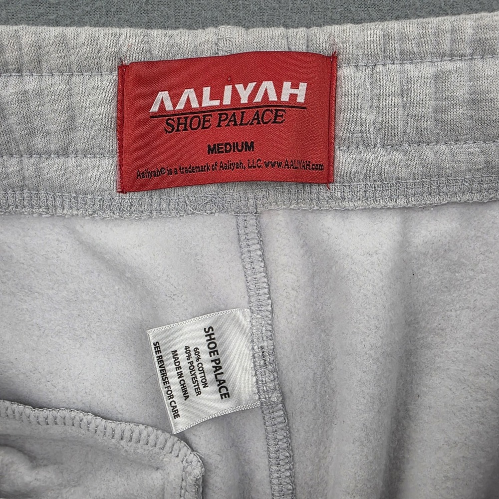 Aaliyah X Shoe Palace Mens Medium Grey Heather Fleece Jogger Sweatpants - Picture 8 of 9